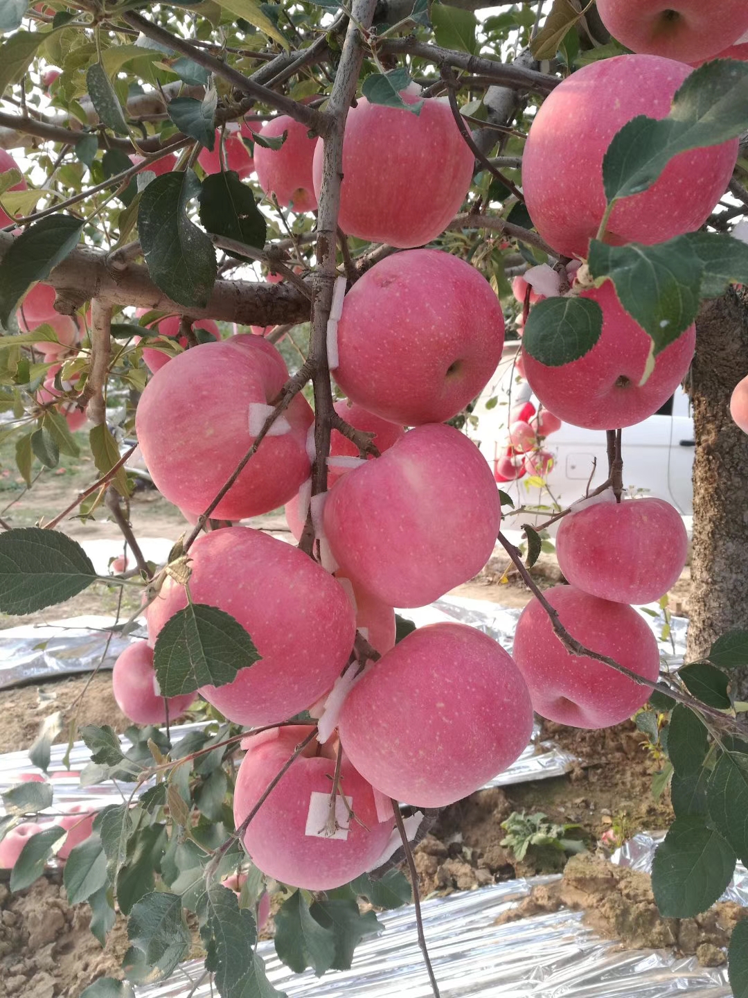 微信圖片_20210525101711.jpg 微信圖片_20210525101711.jpg